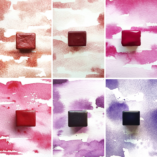 Floral Palette (6 colours)